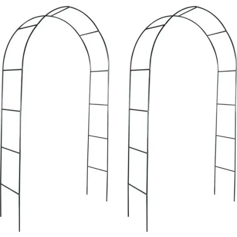 vidaXL - Rozenboog Rozenboog 2 stuks 240 cm