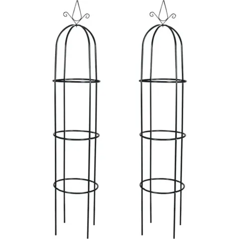 vidaXL - Rozenboog Rozenboog toren 2 stuks