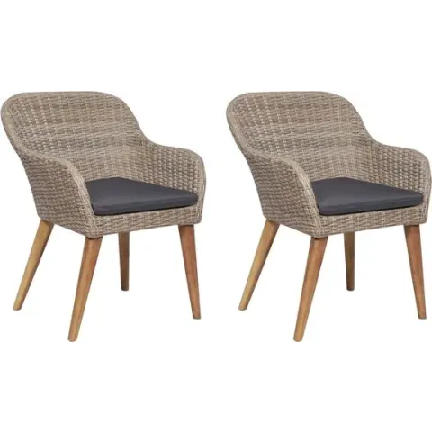 vidaXL Tuinstoelen 2 st met kussens poly rattan bruin