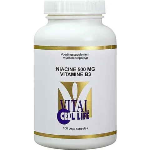 Vit B3 Niacine 500Mg Vcl