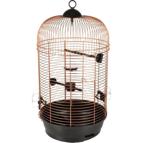 Vogelkooi Sanna 2