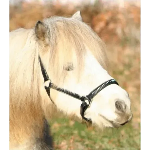 Waldhausen Lerenhalster Diamond Zwart - Paardenhalster - Cob