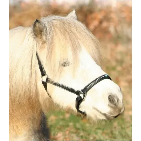 Waldhausen Lerenhalster Diamond Zwart - Paardenhalster - Full