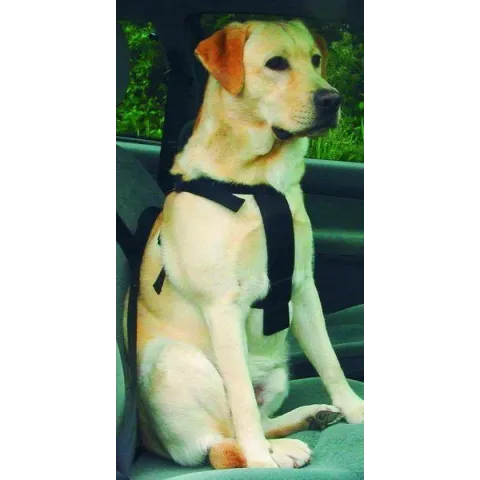 Wandel- En Autoharnas Hond large