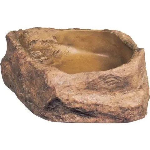 Water Dish - M