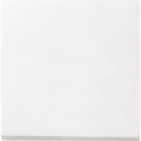 Wisselschakelaar, Uitschakelaar, Kruisschakelaar GIRA System 55, Standaard 55, E2, Event, Event Clear, Event Opaque, Es