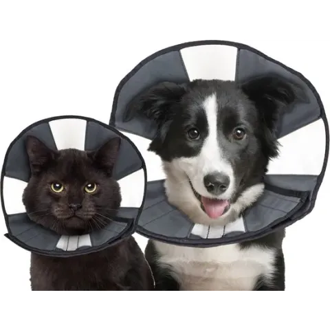 ZenPet Zen Collar - L
